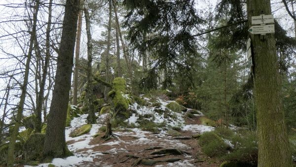 _1124482.jpg