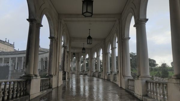 _1163303.jpg