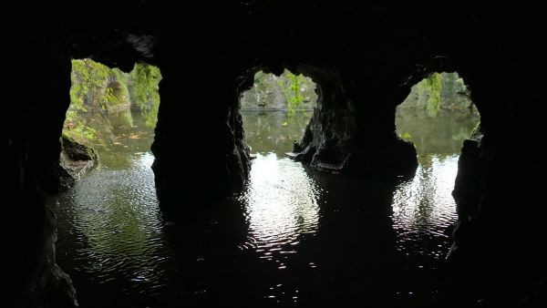 _1163563.jpg