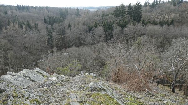 _1124594.jpg