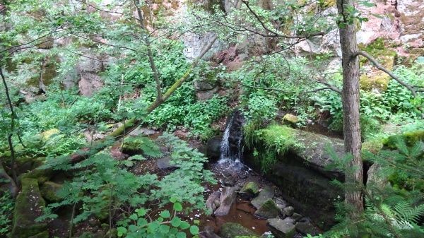 dsc07124.jpg
