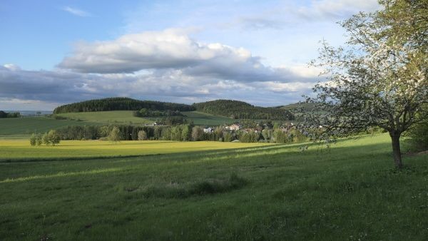 _1176199.jpg