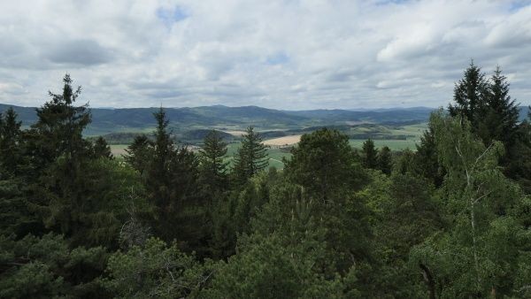 _1186239.jpg