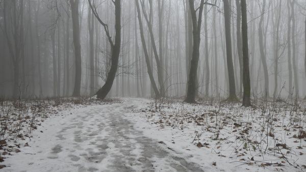 _1164165.jpg