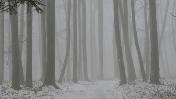 _1164168.jpg