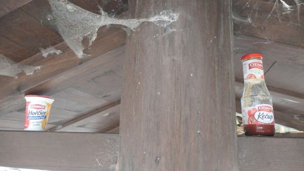 _1164178.jpg