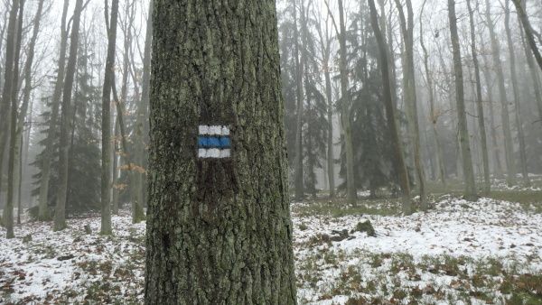 _1164180.jpg