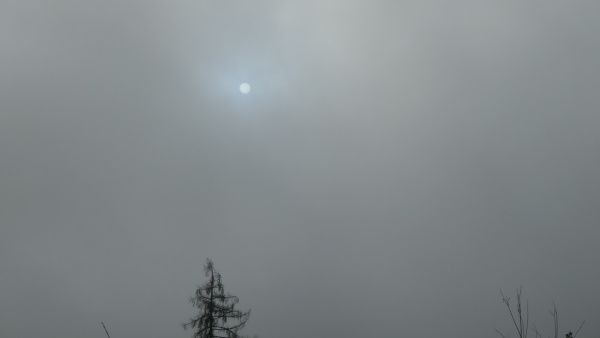 _1164192.jpg