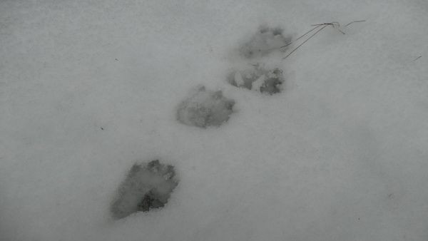 _1164194.jpg