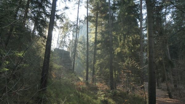 _1164258.jpg