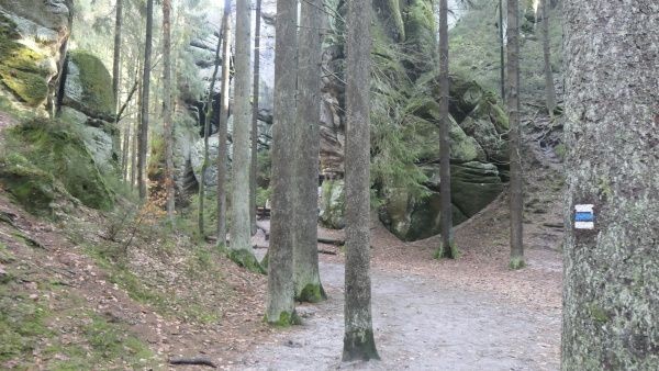 _1164300.jpg