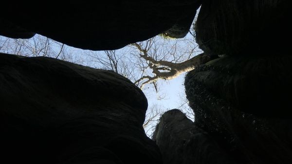 _1164307.jpg