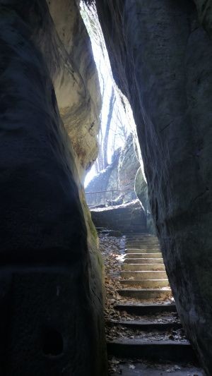 _1164310.jpg