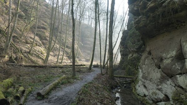 _1164429.jpg