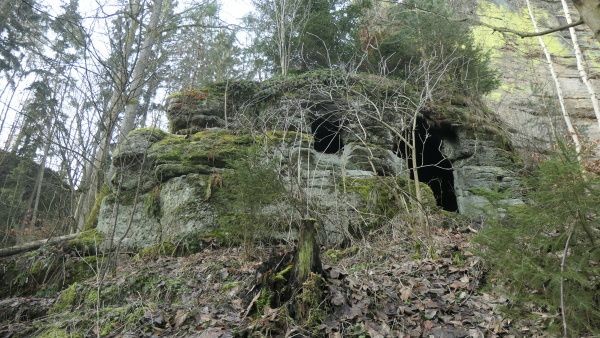 _1164453.jpg