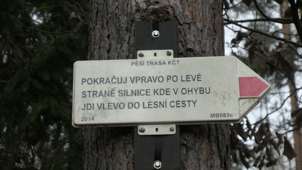 _1164460.jpg