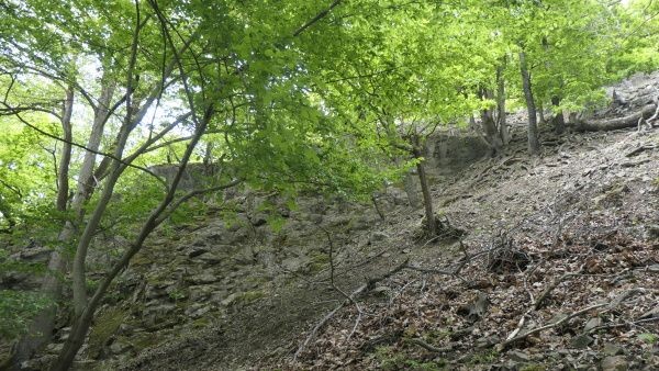 _1186315.jpg
