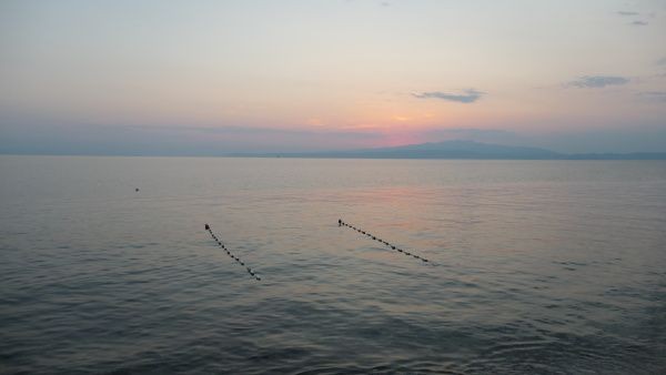 p1000199.jpg