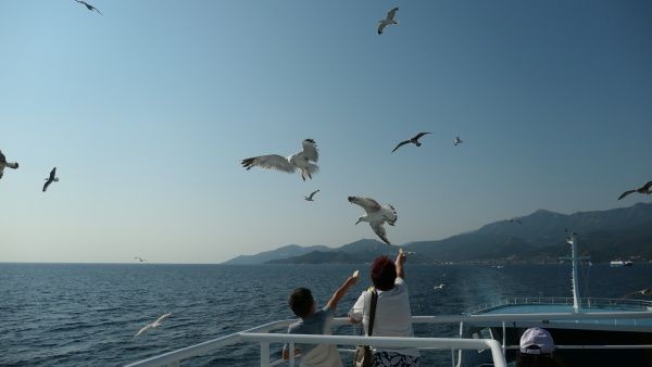 p1000239.jpg