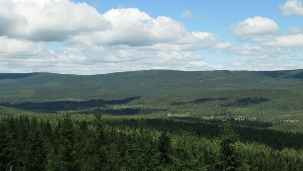 p1000036.jpg