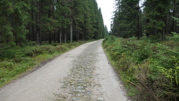 p1000747.jpg