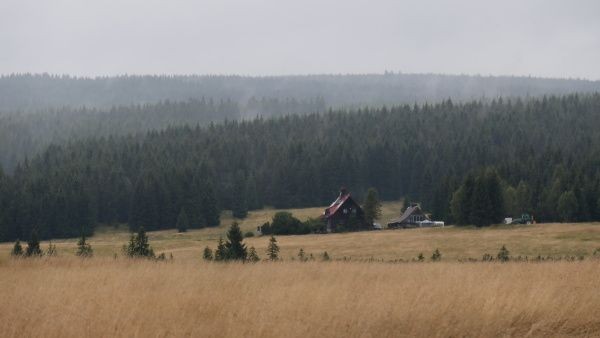 p1000762.jpg