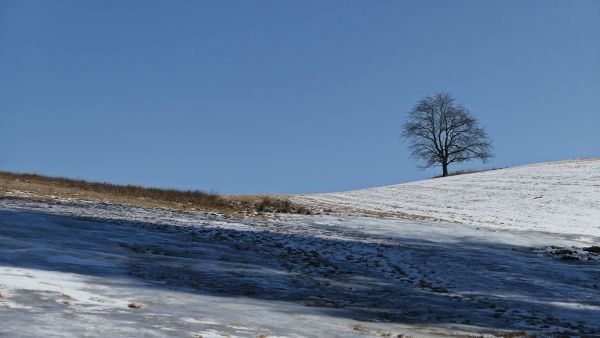 _1125253.jpg