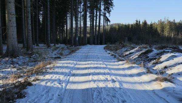 _1125381.jpg