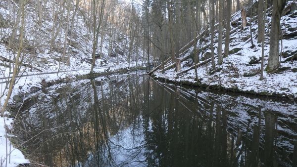 _1124398.jpg