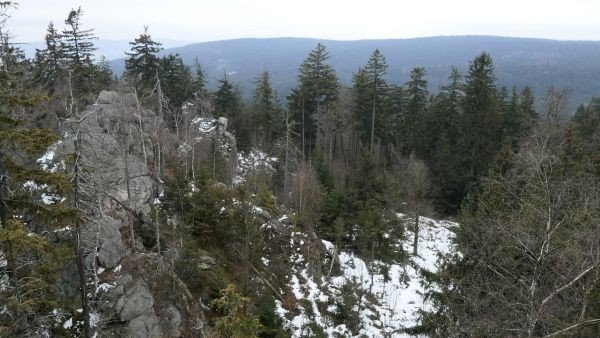 _1125471.jpg