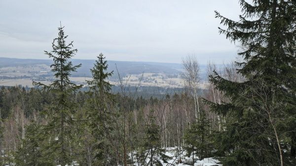 _1125499.jpg