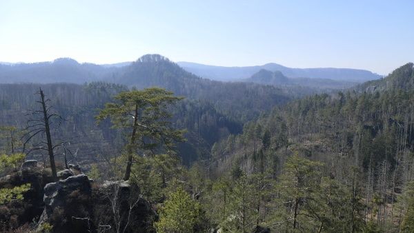 _1125536.jpg