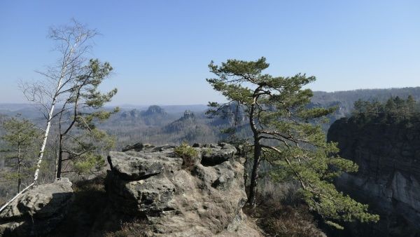 _1125833.jpg