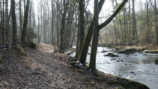 _1124195.jpg
