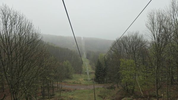 _1126142.jpg