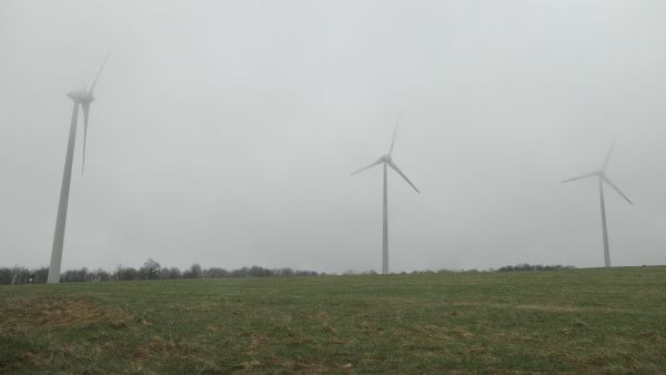 _1126256.jpg