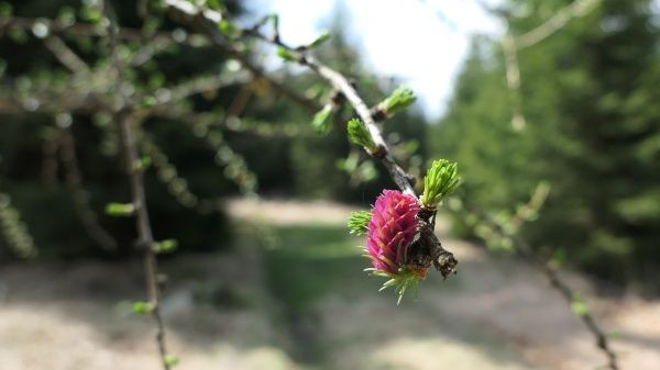 _1126406.jpg