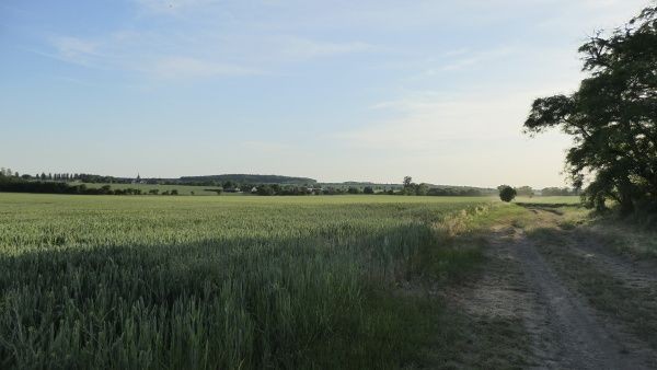 _1071744.jpg