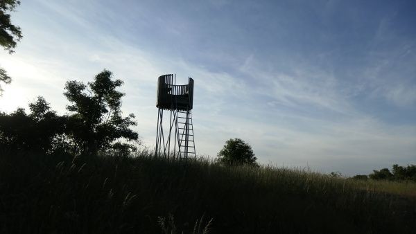 _1071746.jpg