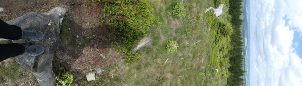 _1127174.jpg
