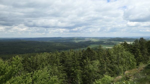 _1127191.jpg