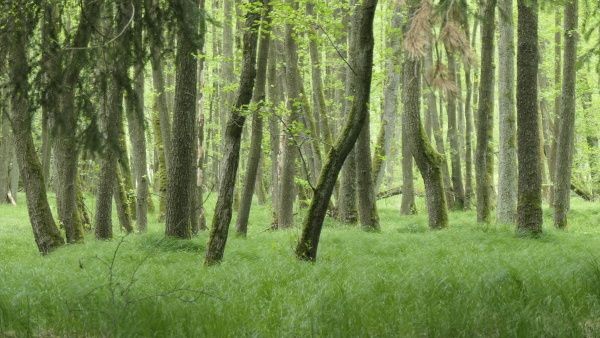 _1127260.jpg
