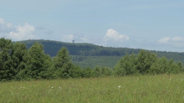 _1127768.jpg