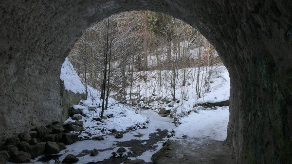 _1125229.jpg