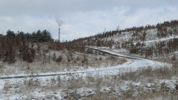 _1124980.jpg