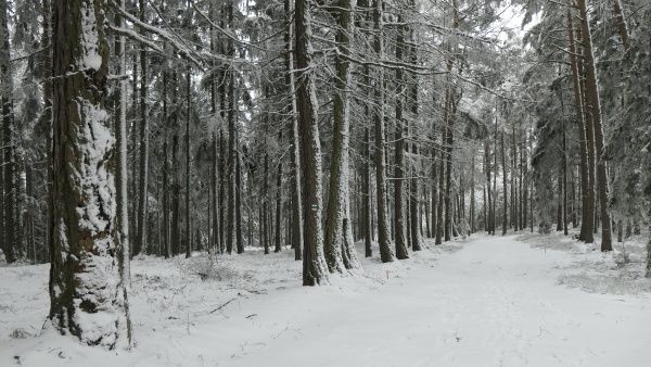 _1125059.jpg