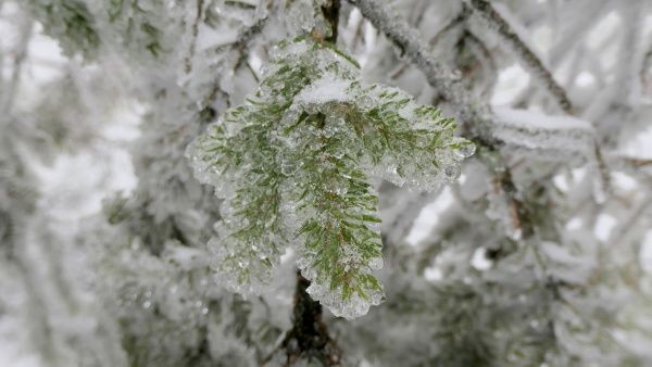 _1125072.jpg