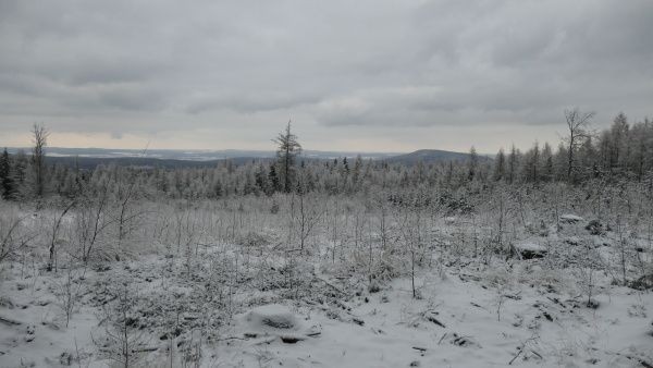 _1125077.jpg