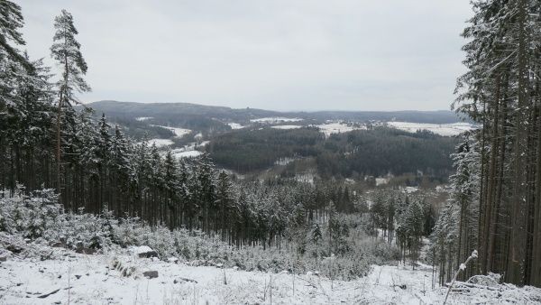 _1125094.jpg