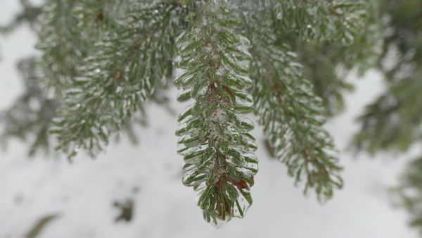 _1125128.jpg